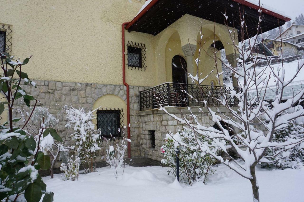 Vila Leonida Buşteni Exterior foto