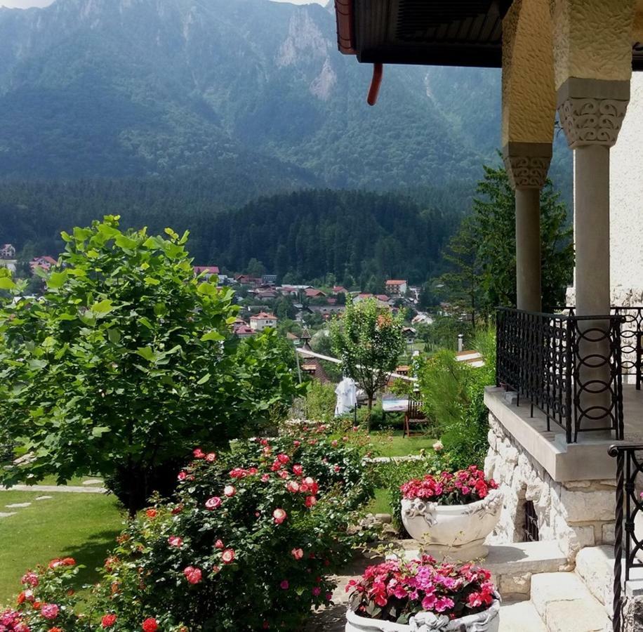 Vila Leonida Buşteni Exterior foto